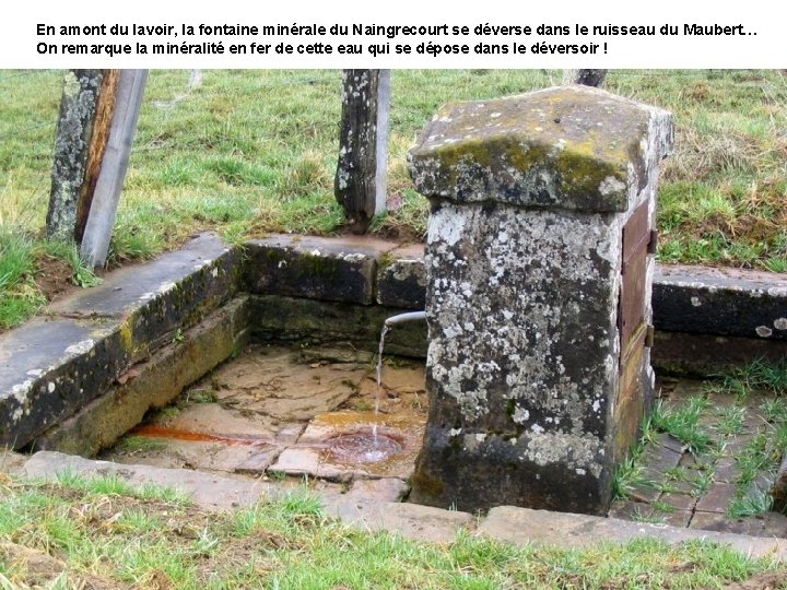 En amont du lavoir, la fontaine minérale du Naingrecourt se déverse dans le ruisseau