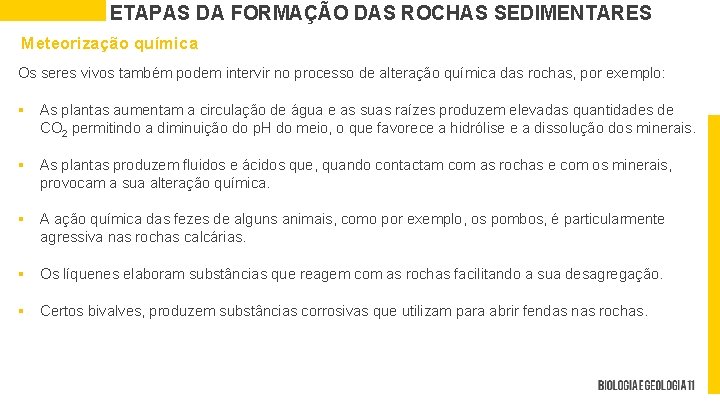 ETAPAS DA FORMAÇÃO DAS ROCHAS SEDIMENTARES Meteorização química Os seres vivos também podem intervir