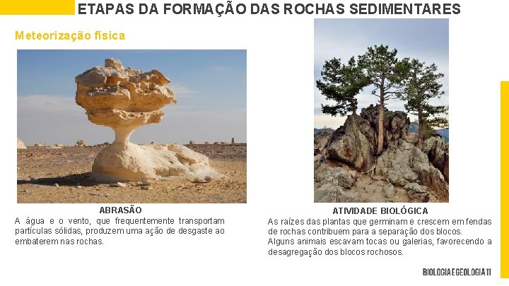 ETAPAS DA FORMAÇÃO DAS ROCHAS SEDIMENTARES Meteorização física ABRASÃO A água e o vento,