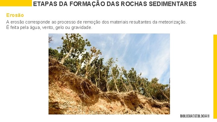 ETAPAS DA FORMAÇÃO DAS ROCHAS SEDIMENTARES Erosão A erosão corresponde ao processo de remoção