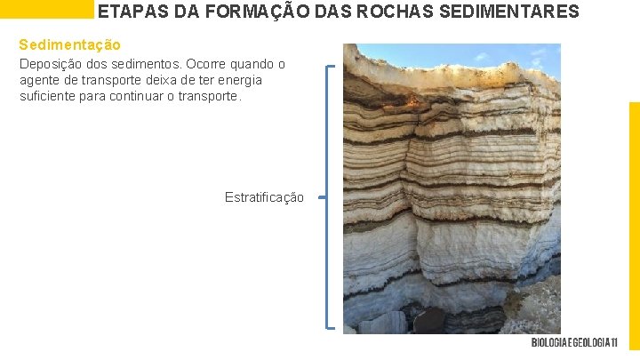 ETAPAS DA FORMAÇÃO DAS ROCHAS SEDIMENTARES Sedimentação Deposição dos sedimentos. Ocorre quando o agente