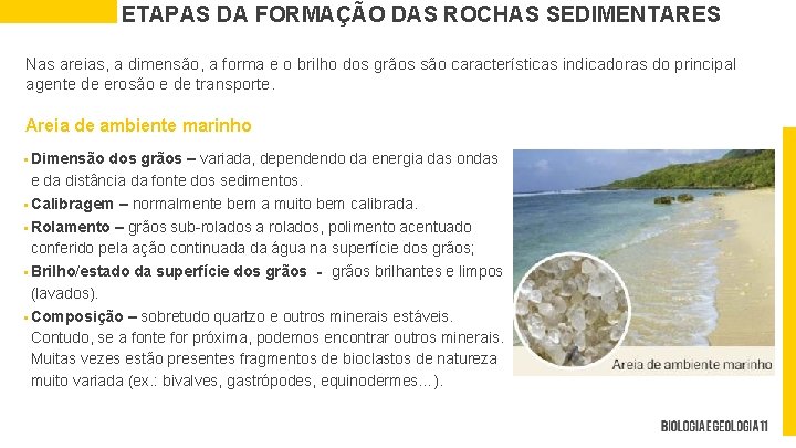 ETAPAS DA FORMAÇÃO DAS ROCHAS SEDIMENTARES Nas areias, a dimensão, a forma e o