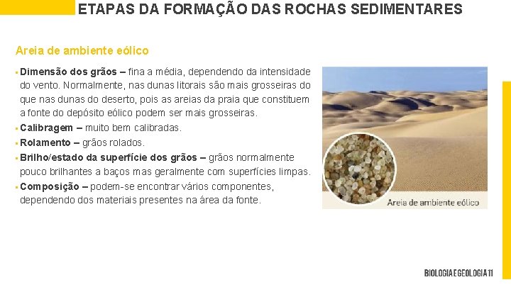 ETAPAS DA FORMAÇÃO DAS ROCHAS SEDIMENTARES Areia de ambiente eólico § Dimensão dos grãos