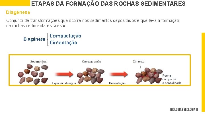 ETAPAS DA FORMAÇÃO DAS ROCHAS SEDIMENTARES Diagénese Conjunto de transformações que ocorre nos sedimentos