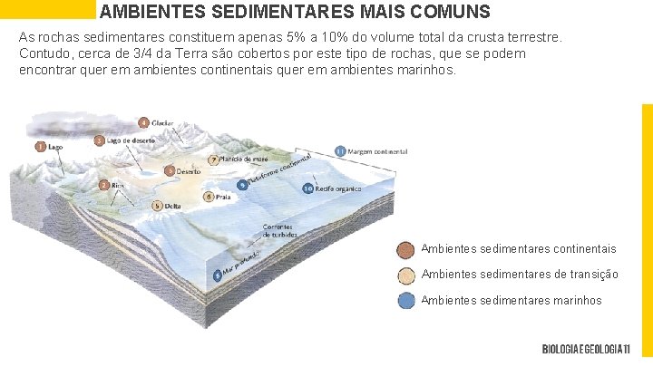 AMBIENTES SEDIMENTARES MAIS COMUNS As rochas sedimentares constituem apenas 5% a 10% do volume