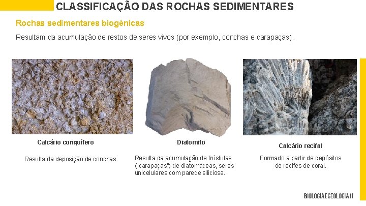 CLASSIFICAÇÃO DAS ROCHAS SEDIMENTARES Rochas sedimentares biogénicas Resultam da acumulação de restos de seres