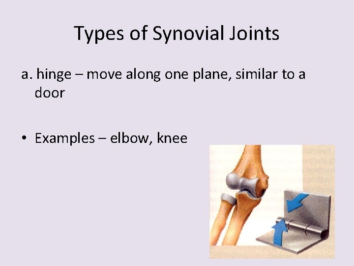 Types of Synovial Joints a. hinge – move along one plane, similar to a
