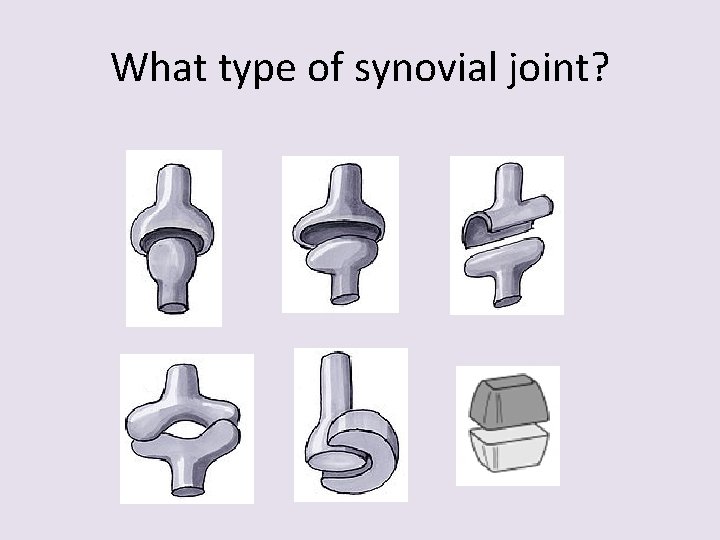 What type of synovial joint? 