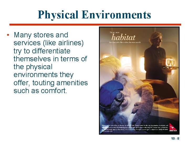 Physical Environments • Many stores and services (like airlines) try to differentiate themselves in