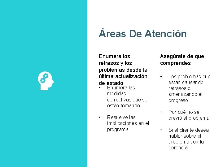 Áreas De Atención Enumera los retrasos y los problemas desde la última actualización de