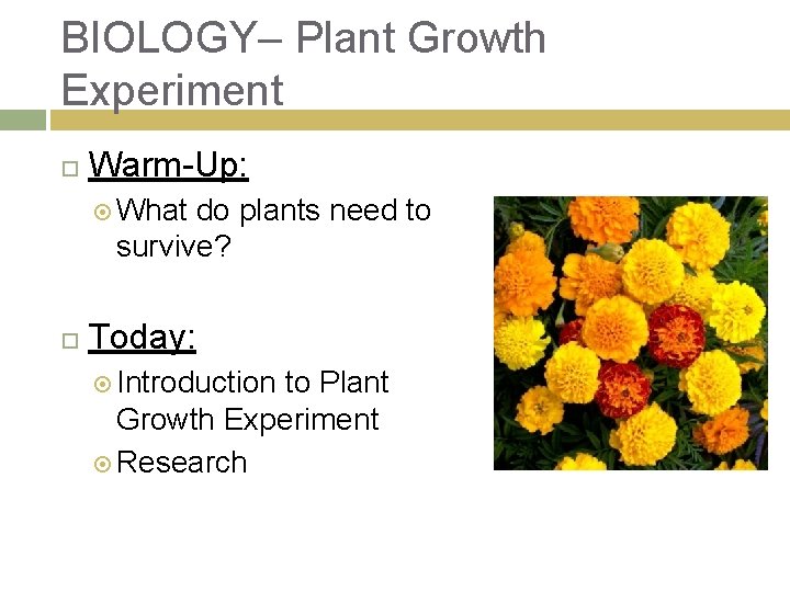 BIOLOGY– Plant Growth Experiment Warm-Up: What do plants need to survive? Today: Introduction to