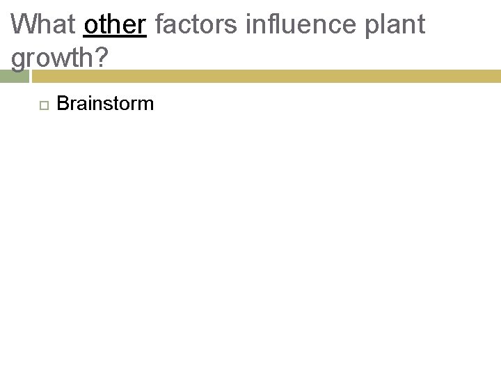 What other factors influence plant growth? Brainstorm 