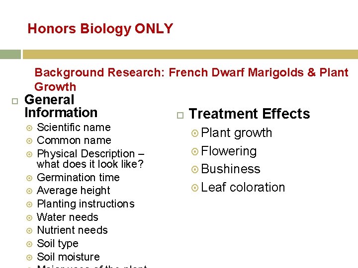 Honors Biology ONLY Background Research: French Dwarf Marigolds & Plant Growth General Information Scientific