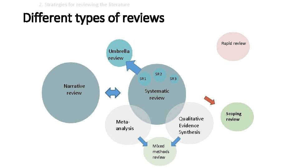 2. Strategies for reviewing the literature Different types of reviews Rapid review Umbrella review