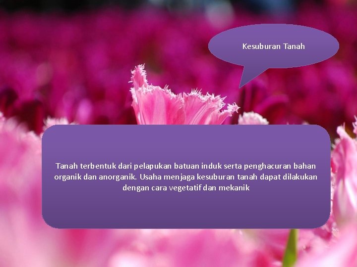 Kesuburan Tanah terbentuk dari pelapukan batuan induk serta penghacuran bahan organik dan anorganik. Usaha