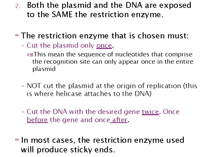 2. Both the plasmid and the DNA are exposed to the SAME the restriction