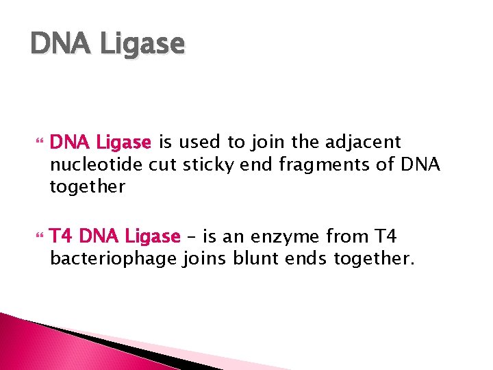 DNA Ligase is used to join the adjacent nucleotide cut sticky end fragments of