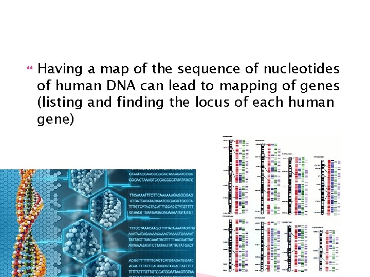  Having a map of the sequence of nucleotides of human DNA can lead
