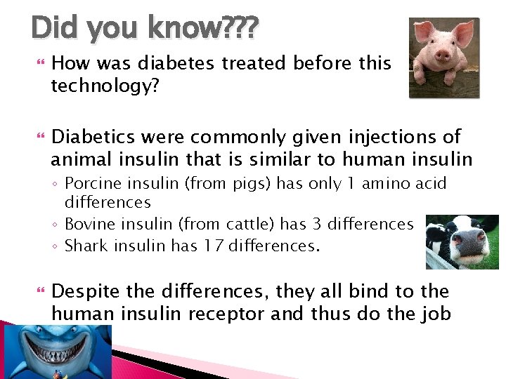 Did you know? ? ? How was diabetes treated before this technology? Diabetics were