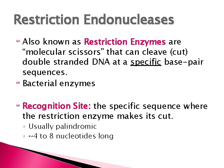 Restriction Endonucleases Also known as Restriction Enzymes are “molecular scissors” that can cleave (cut)