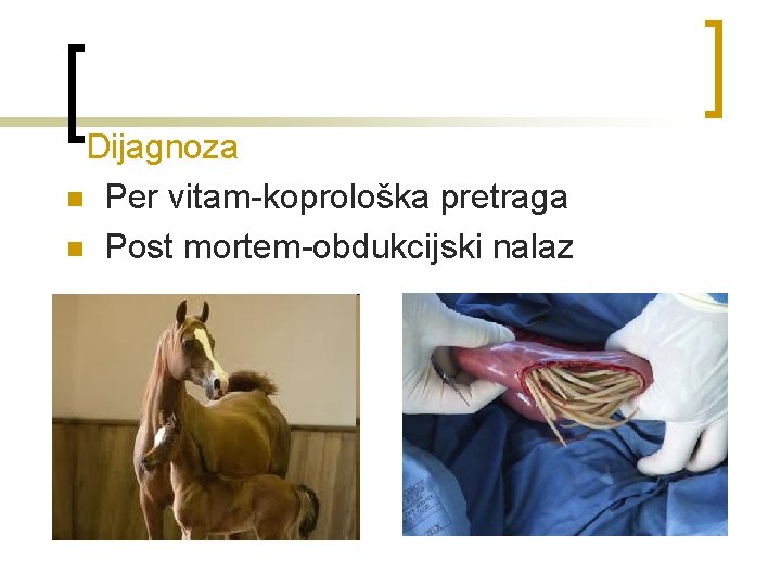 Dijagnoza n Per vitam-koprološka pretraga n Post mortem-obdukcijski nalaz 