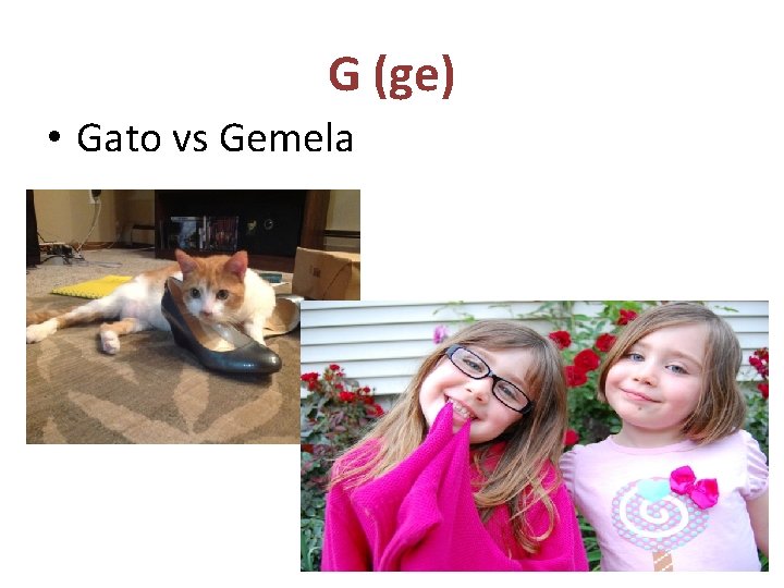 G (ge) • Gato vs Gemela 