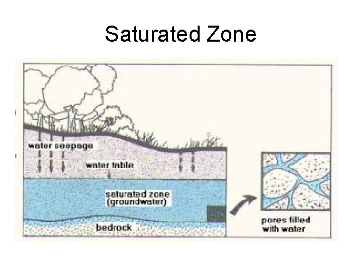 Saturated Zone 