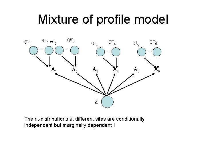 Mixture of profile model 11 m 1 12 A 1 m 2 A 2