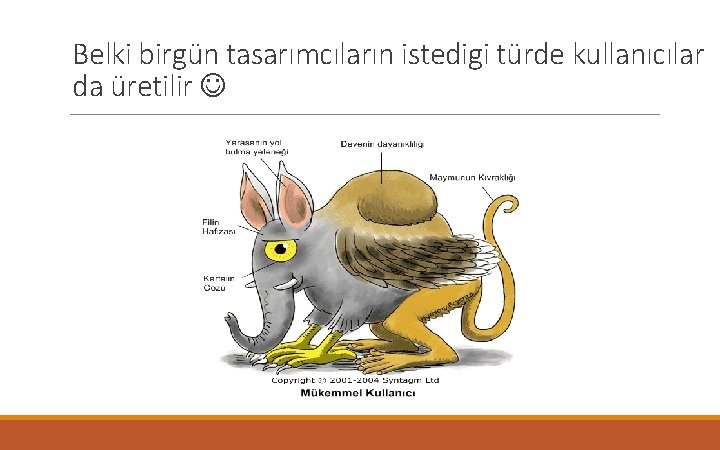 Belki birgün tasarımcıların istedigi türde kullanıcılar da üretilir 