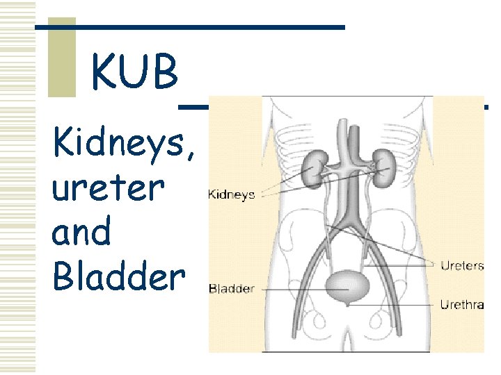 KUB Kidneys, ureter and Bladder 