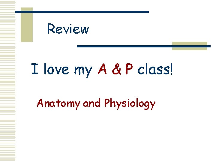 Review I love my A & P class! Anatomy and Physiology 