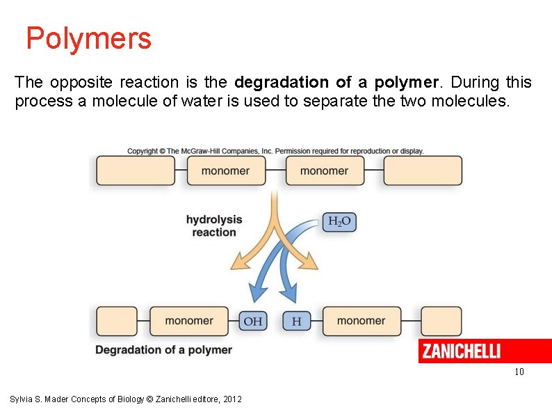 Polymers The opposite reaction is the degradation of a polymer. During this process a