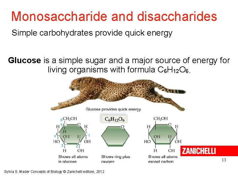 Monosaccharide and disaccharides Simple carbohydrates provide quick energy Glucose is a simple sugar and