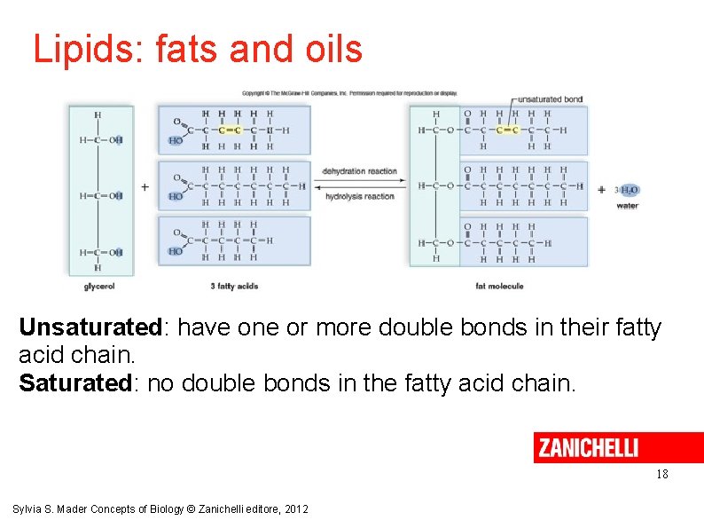 Lipids: fats and oils Unsaturated: have one or more double bonds in their fatty