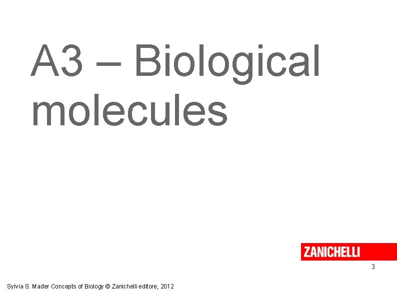 A 3 – Biological molecules 3 Sylvia S. Mader Concepts of Biology © Zanichelli