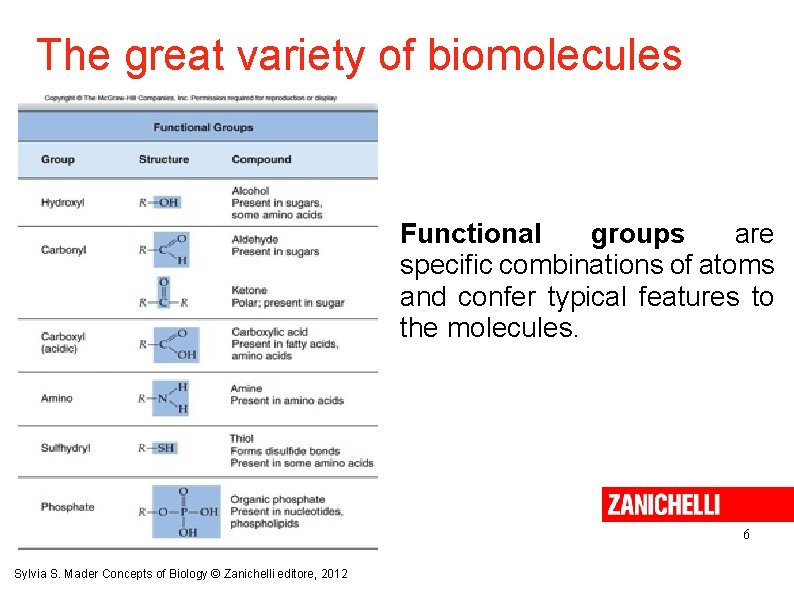 The great variety of biomolecules Functional groups are specific combinations of atoms and confer