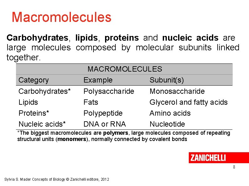 Macromolecules Carbohydrates, lipids, proteins and nucleic acids are large molecules composed by molecular subunits