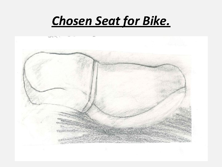 Chosen Seat for Bike. 