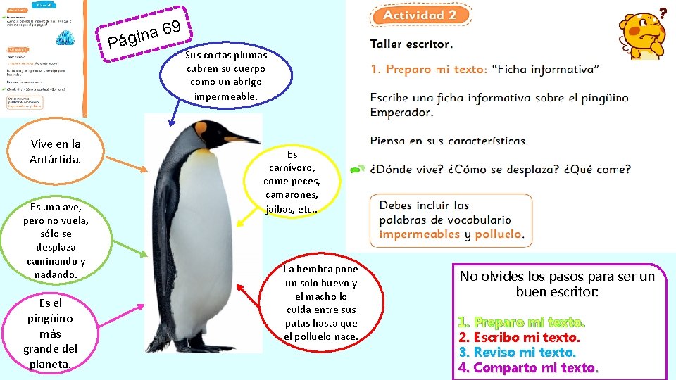 9 6 a n i g Pá Vive en la Antártida. Es una ave,