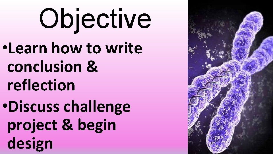Objective • Learn how to write conclusion & reflection • Discuss challenge project &