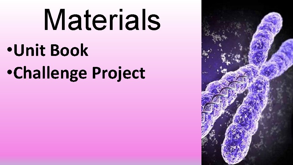 Materials • Unit Book • Challenge Project 