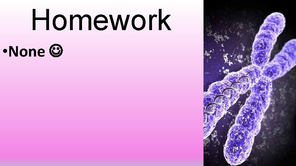 Homework • None 