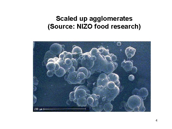 Scaled up agglomerates (Source: NIZO food research) 4 