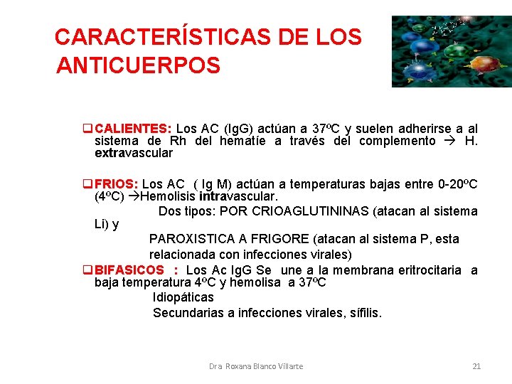 CARACTERÍSTICAS DE LOS ANTICUERPOS q CALIENTES: Los AC (Ig. G) actúan a 37ºC y