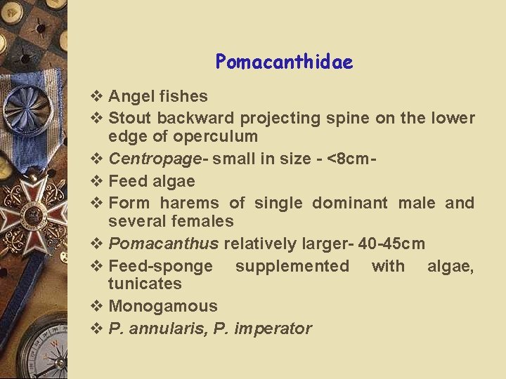 Pomacanthidae v Angel fishes v Stout backward projecting spine on the lower edge of