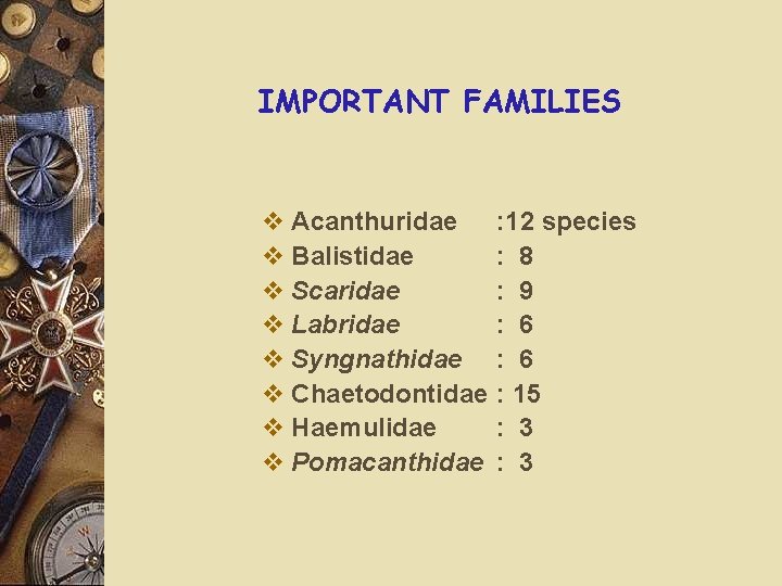 IMPORTANT FAMILIES v Acanthuridae v Balistidae v Scaridae v Labridae v Syngnathidae v Chaetodontidae