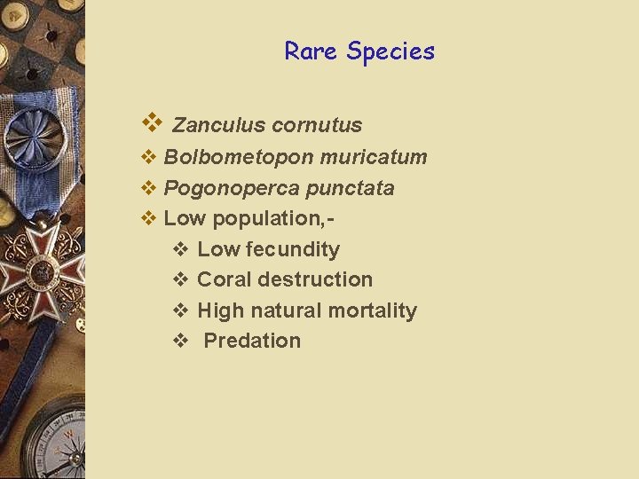 Rare Species v Zanculus cornutus v Bolbometopon muricatum v Pogonoperca punctata v Low population,