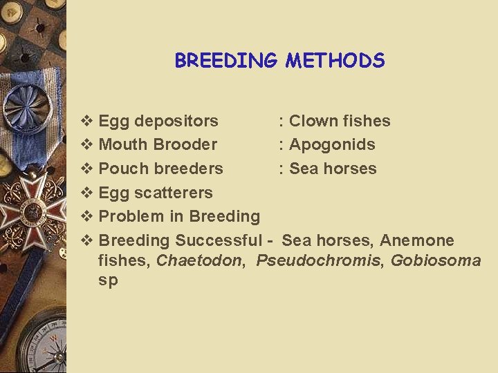 BREEDING METHODS v Egg depositors : Clown fishes v Mouth Brooder : Apogonids v