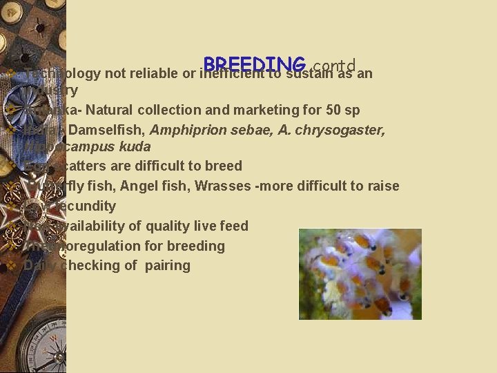 BREEDING contd v Technology not reliable or inefficient to sustain as an industry v