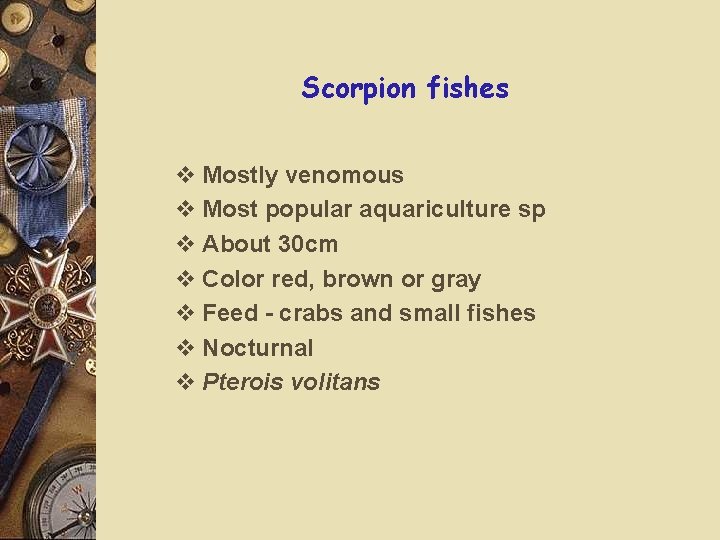 Scorpion fishes v Mostly venomous v Most popular aquariculture sp v About 30 cm